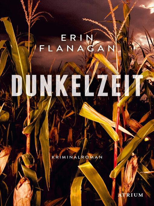 Titeldetails für Dunkelzeit nach Erin Flanagan - Verfügbar